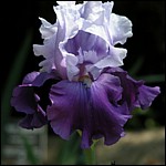 DSCN0060.JPG